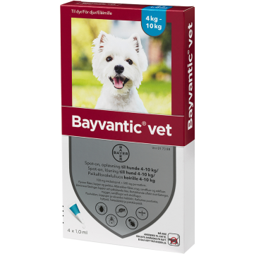 Bayvantic vet paikallisvaleluliuos 500/100 mg koirille 4–10 kg 4 x 1 ml
